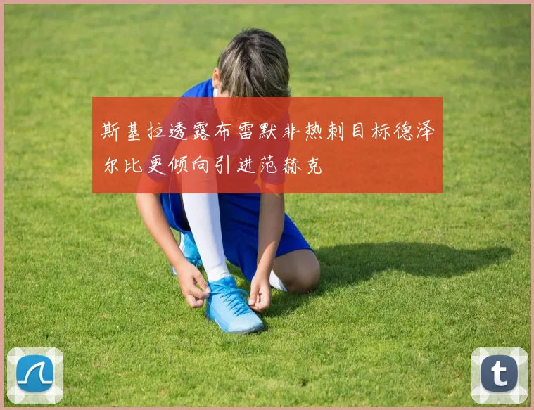 斯基拉透露布雷默非热刺目标德泽尔比更倾向引进范赫克