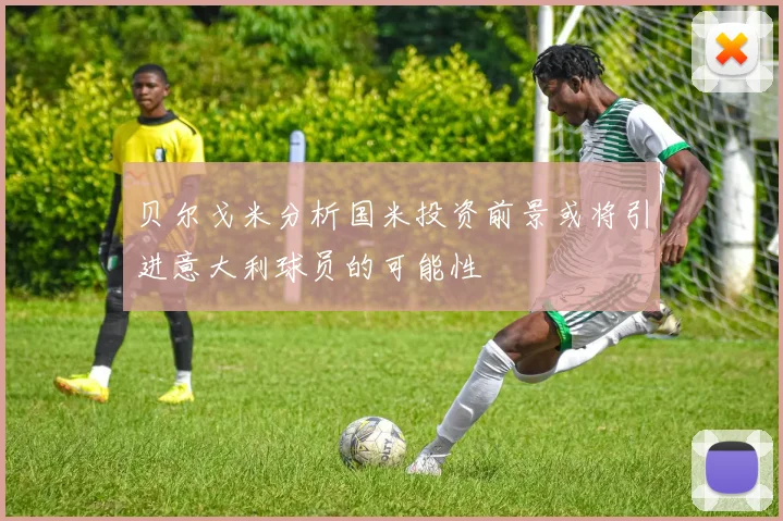 贝尔戈米分析国米投资前景或将引进意大利球员的可能性