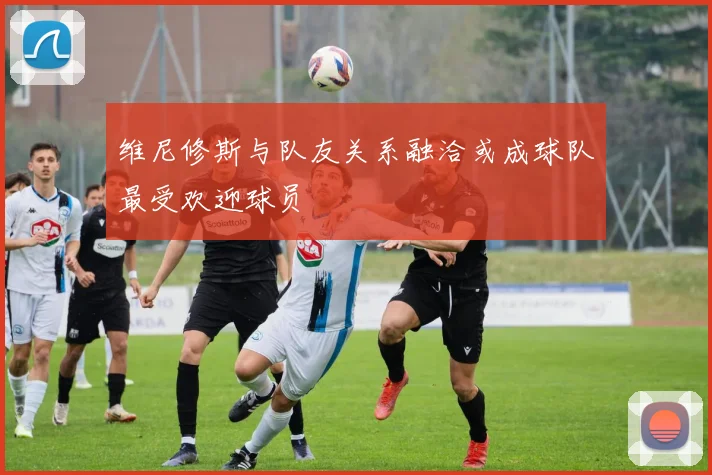 维尼修斯与队友关系融洽或成球队最受欢迎球员